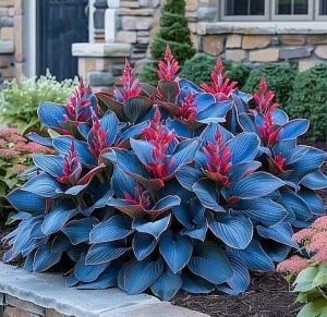 Хоста Грин Фог купить по цене от 669р. в интернет-магазине «Посадика» с доставкой почтой в в Менделеевске и по всей России – [изображение №1].