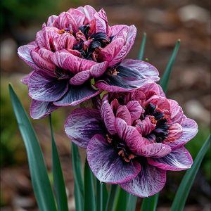 Нарцисс Моргатн Мотив купить по цене от 2000р. в интернет-магазине «Посадика» с доставкой почтой в в Менделеевске и по всей России – [изображение №1].